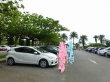 s-P1150056