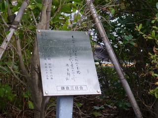 s-P1230599