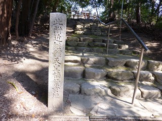 s-P1260557