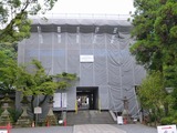 s-P1060124