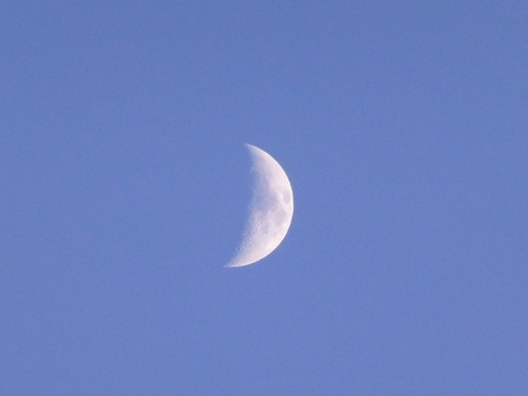 s-P1110753