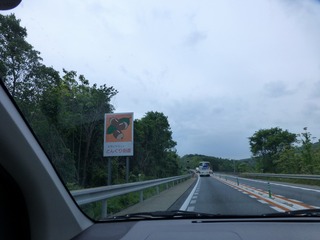 s-P1190663