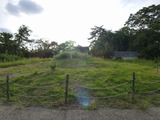 s-P1060827