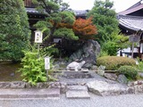 s-P1060151