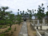 s-P1020392