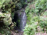 s-P1060221