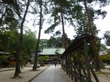 s-P1020514
