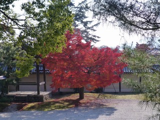 s-P1240081