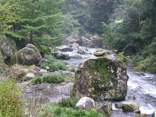 s-P1230276