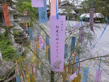 s-P1060145