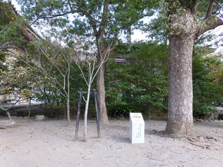 s-P1230563