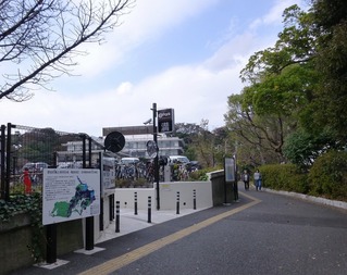 s-P1230597