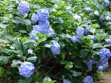 s-P1060200