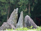 s-P1060197