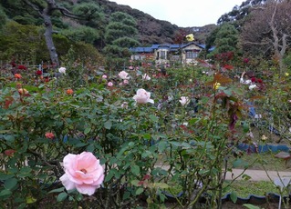 s-P1230853