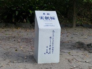 s-P1230564