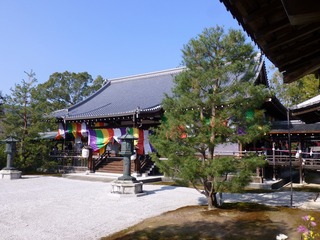 s-P1240092