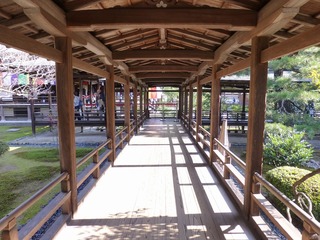 s-P1240049