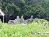 s-P1060191