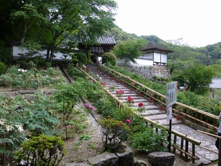 s-P1190781