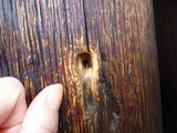 s-P1100787