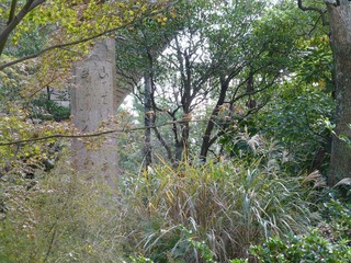 s-P1230560