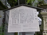 s-P1060127