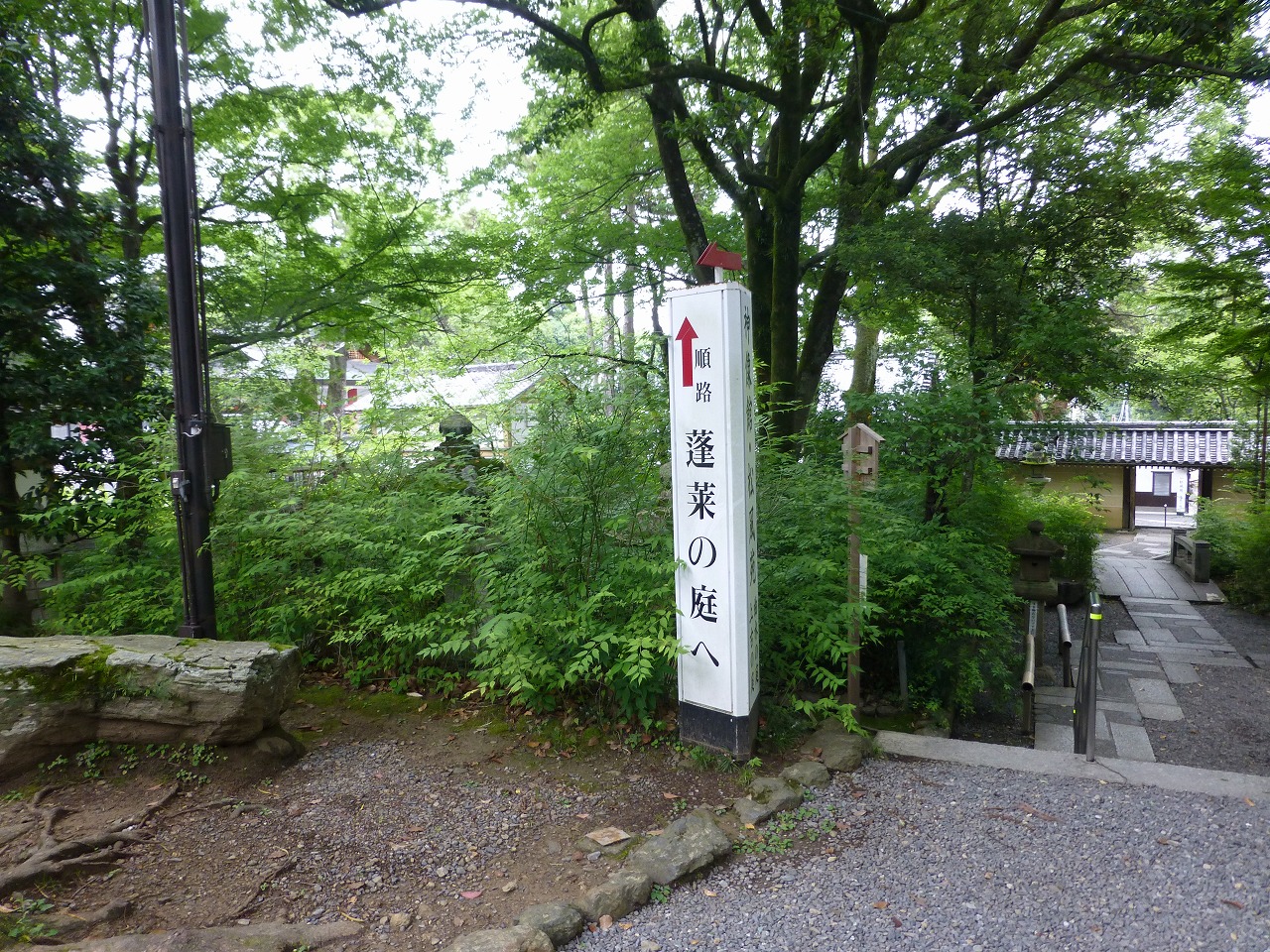 s-P1060236