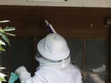s-P1010389