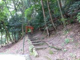 s-P1060206