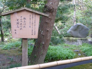 s-P1230550