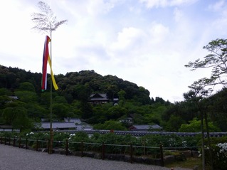 s-P1190910