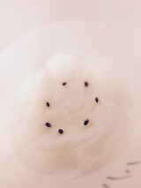 S__11903060