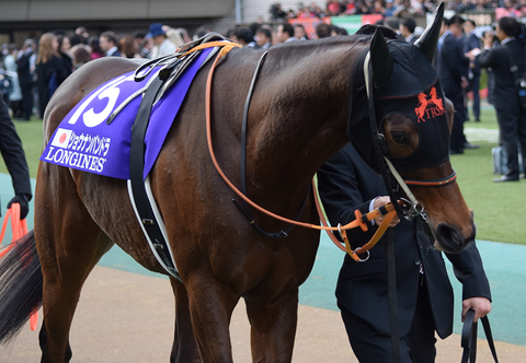 ジャパンカップ2015観戦記(1) : Nathanielの競馬ブログ