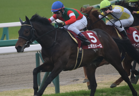 エポカドーロ・皐月賞で輝く脚質と血統 : Nathanielの競馬ブログ