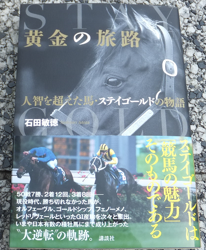 黄金の旅路・ステイゴールドの物語 : Nathanielの競馬ブログ