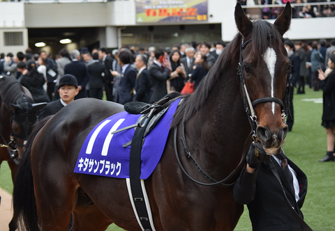 キタサンブラック天皇賞秋の真価と、名馬の追憶 : Nathanielの競馬ブログ