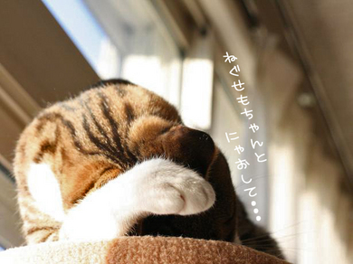 もてるために
