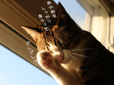 顔洗って