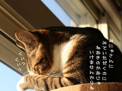 色気づいちゃったり