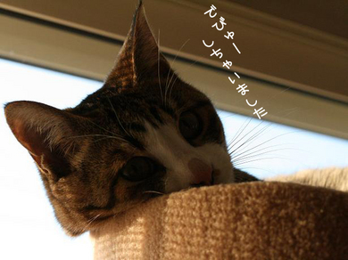 えへへ〜