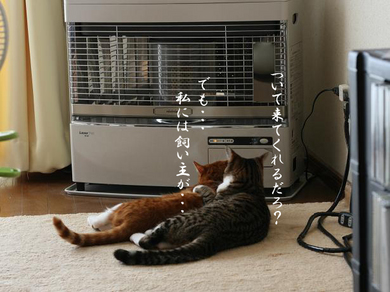 ある愛のカタチ