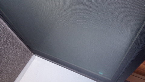 RIMG6652