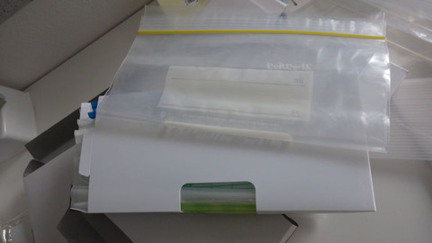 RIMG0550