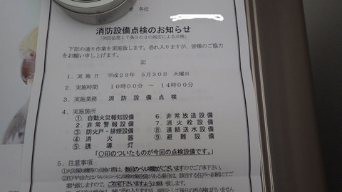 RIMG1228