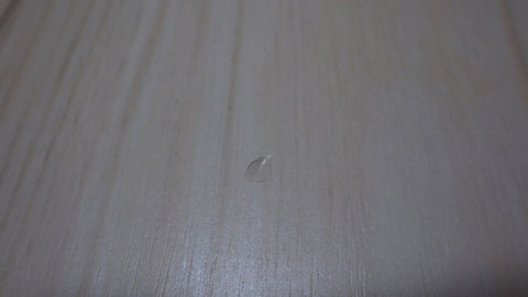 RIMG0572