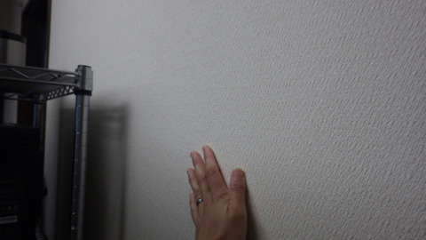 RIMG7344