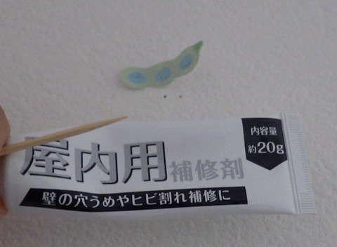 RIMG2029