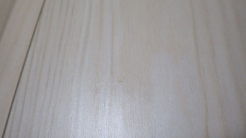 RIMG0575