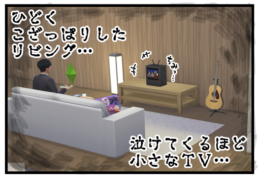SIMSレポ-20